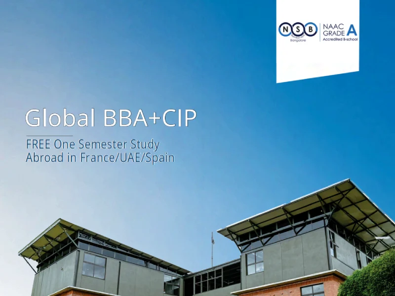 nsb-pgdm-mim-brochure-2025