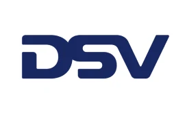 nsb-dsv