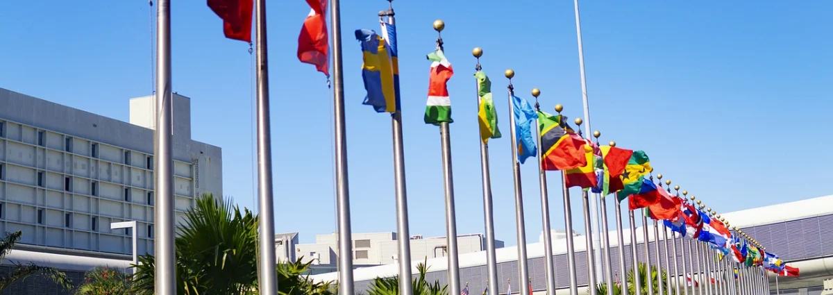 nsb-international-internship-program